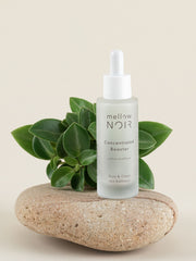 mellow NOIR Concentrated Booster